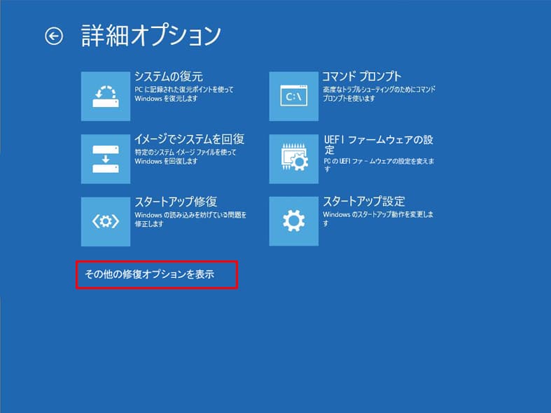 「詳細オプション」画面