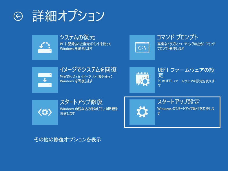「詳細オプション」画面